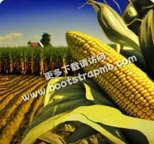 逐项对比组合差异 - 竞彩过关