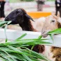 搜索 - 竞彩过关