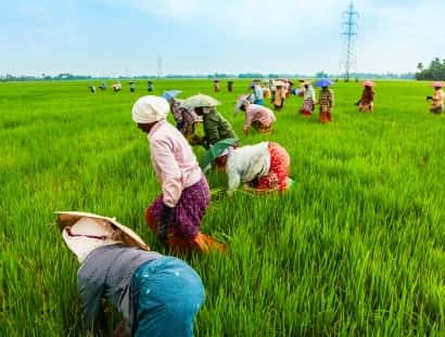 竞彩过关