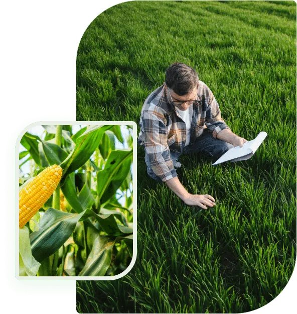 关联规则与资料查阅 - 竞彩过关